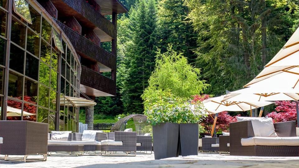 Отель Lux Garden Hotel Азуга-39