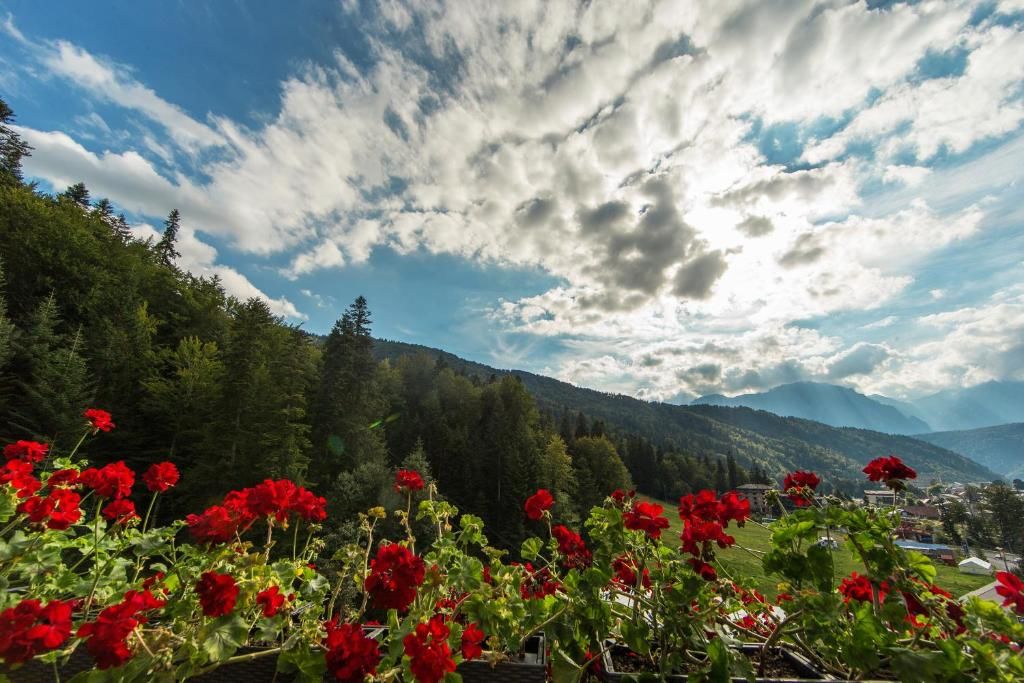 Отель Lux Garden Hotel Азуга-56